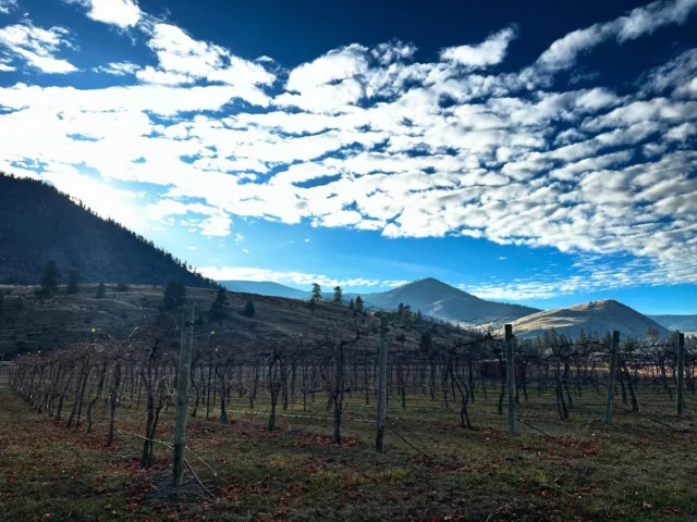 So grateful we get to live our dream. It’s a beautiful afternoon the first day in December in the vineyard!  #watchdogwinery #watchdogwinerymt #montanavineyards

Want to purchase wine from us? Check out online ordering on our website
www.watchdogwinery.com. We can ship or you can pick it up directly from the winery.

Want to stay with us? Check us out on Harvest Hosts: www.harvesthosts.com.

Tasting by appointment, call or email to schedule.

Questions? Contact us at winerydog@watchdogwinery.com or call us at 406-404-6828.