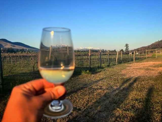 Cheers! We met many amazing people over the weekend. Photo credit Hailey Graf. 

#watchdogwinery #watchdogwinerymt #montanavineyards
.
.
.
Want to purchase wine from us? Check out online ordering on our website
www.watchdogwinery.com. We can ship or you can pick it up directly from the winery.

Want to stay with us? Check us out on Harvest Hosts: www.harvesthosts.com.

Tasting by appointment, call or email to schedule.

Questions? Contact us at winerydog@watchdogwinery.com or call us at 406-404-6828.