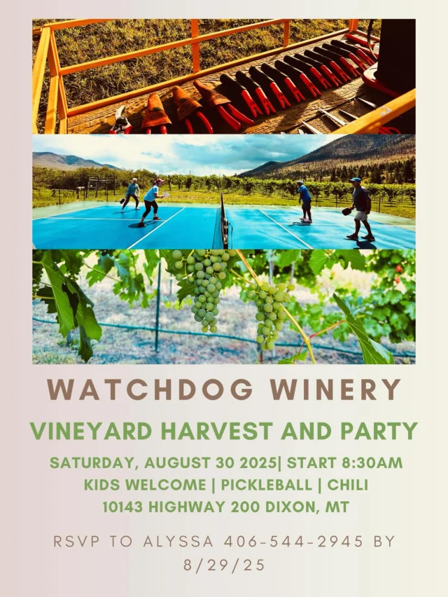 Hello friends and family! We are planning to harvest grapes on August 30th, starting at 8:30 am. If the Crimson Pearl isn’t ready then we will harvest that at a later date. Chili will be served for lunch. Come enjoy some time in the vineyard!

Our address is:
10143 Highway 200
Dixon, MT
Watchdog Winery