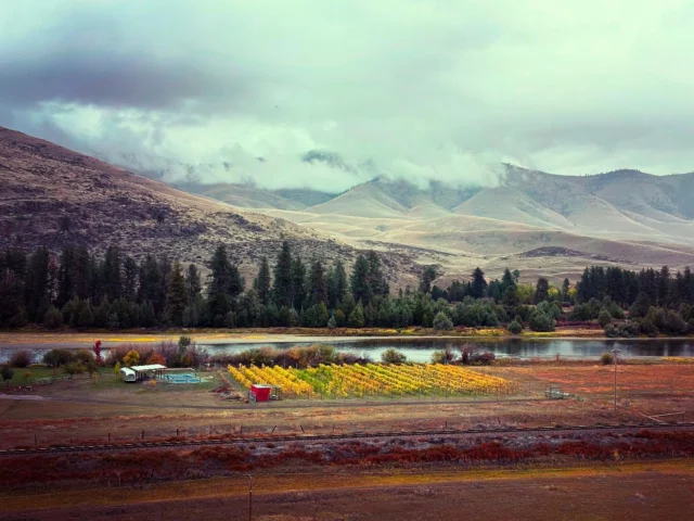 My favorite time of year! The colors are beautiful. 

#watchdogwinery #watchdogwinerymt #montanavineyards
.
.
.
Want to purchase wine from us? Check out online ordering on our website
www.watchdogwinery.com. We can ship or you can pick it up directly from the winery.

Want to stay with us? Check us out on Harvest Hosts: www.harvesthosts.com.

Tasting by appointment, call or email to schedule.

Questions? Contact us at winerydog@watchdogwinery.com or call us at 406-404-6828.