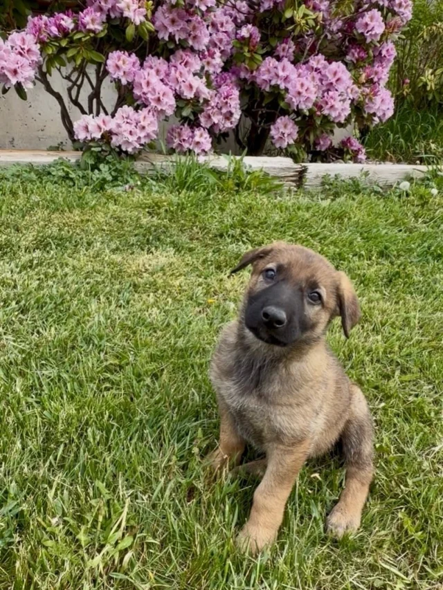 Welcome to the family, Rayna ♥️