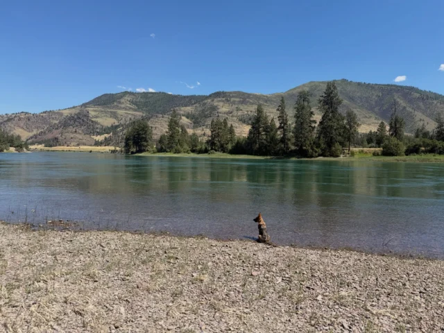 📣PUPDATE📣
Can you believe how big she’s getting?! 

Ray went on her first float earlier this month, she’s officially a river dog! She fits right into our family and continues Hilo’s legacy as Watchdog ♥️