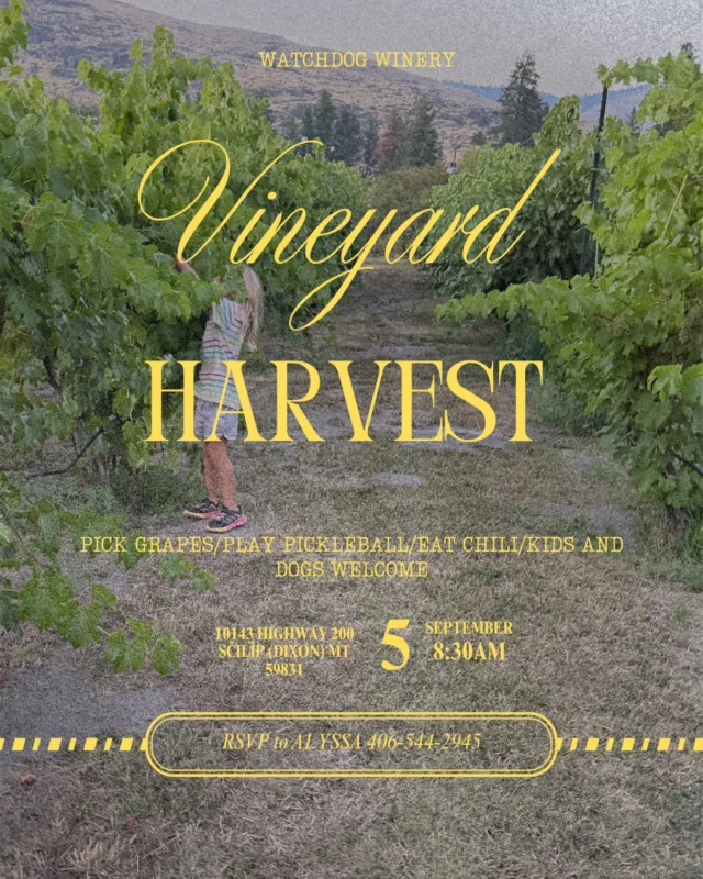 🍇Watchdog Winery presents Vineyard Harvest🍇
Starting around 8:30am, Saturday September 5, we will start our annual grape harvest!
Chili will be provided for lunch. Please RSVP at 406-544-2945.