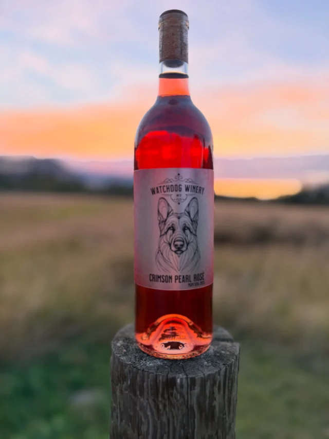 How dreamy!

Crimson Pearl Rosé and Pear Wine are bottled and ready to make their way into your glass. Why not enjoy the last rays of sunshine while enjoying a bottle (or two) of Watchdog Winery’s newest editions